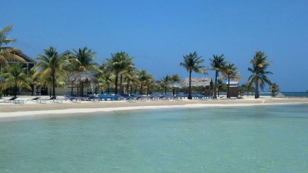 Las Palmas Beach Hotel Dixon Cove Eksteriør bilde