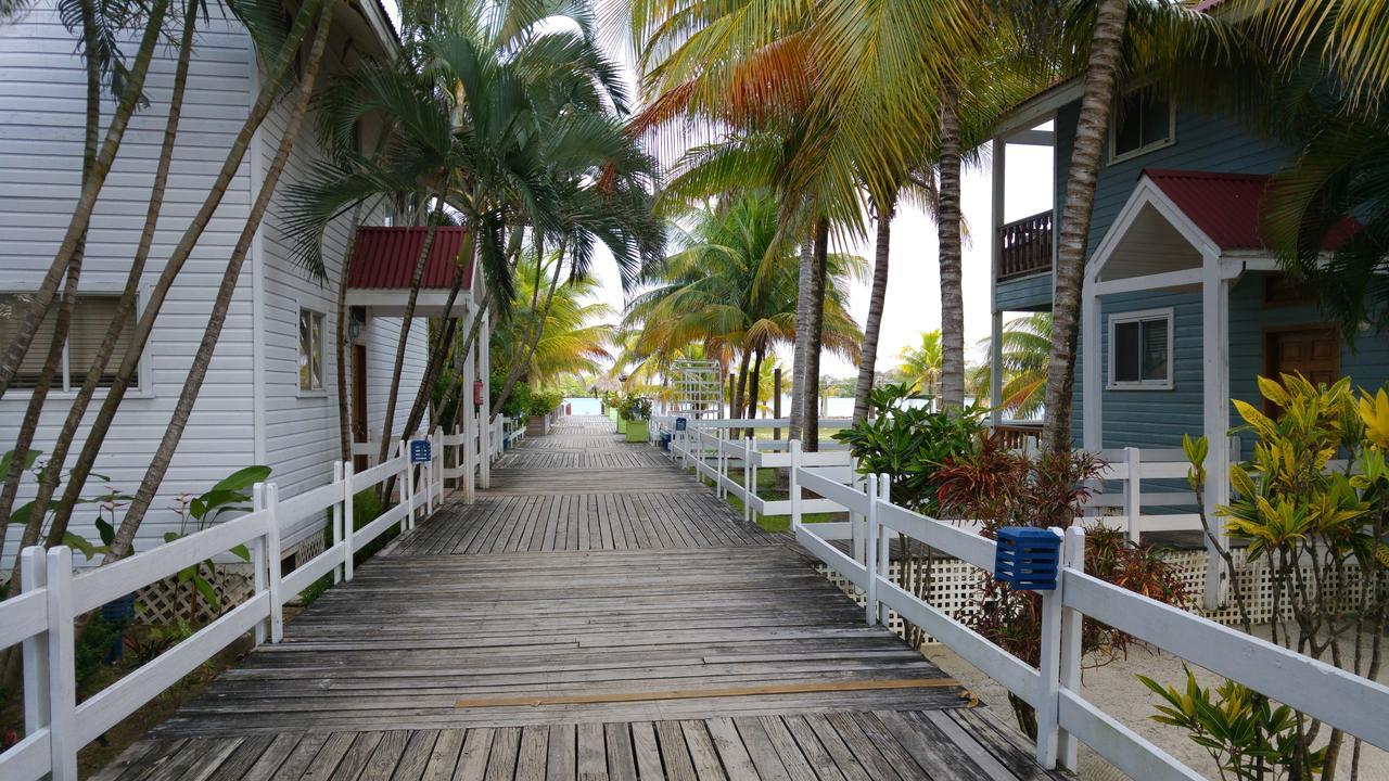 Las Palmas Beach Hotel Dixon Cove Eksteriør bilde