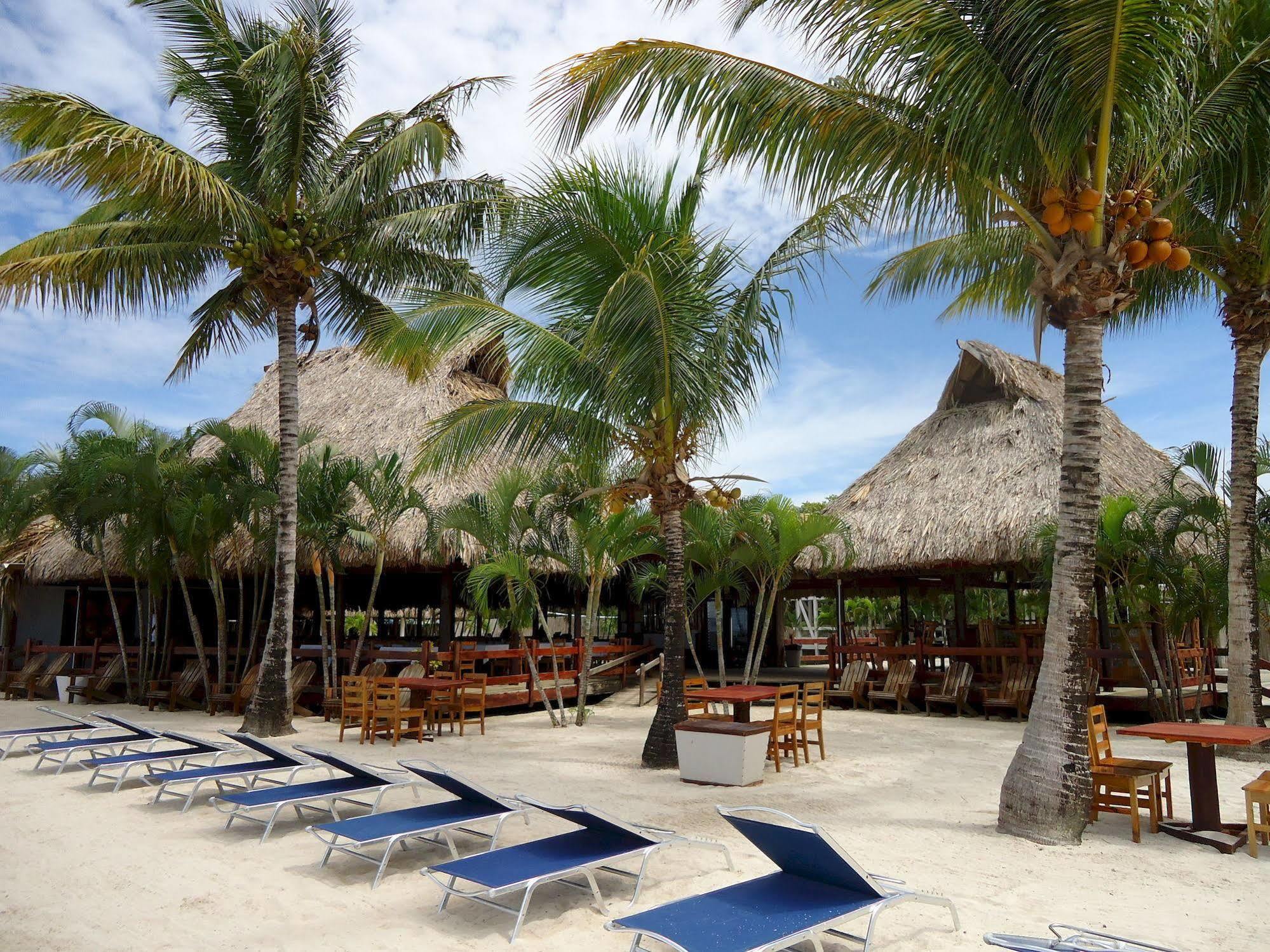 Las Palmas Beach Hotel Dixon Cove Eksteriør bilde