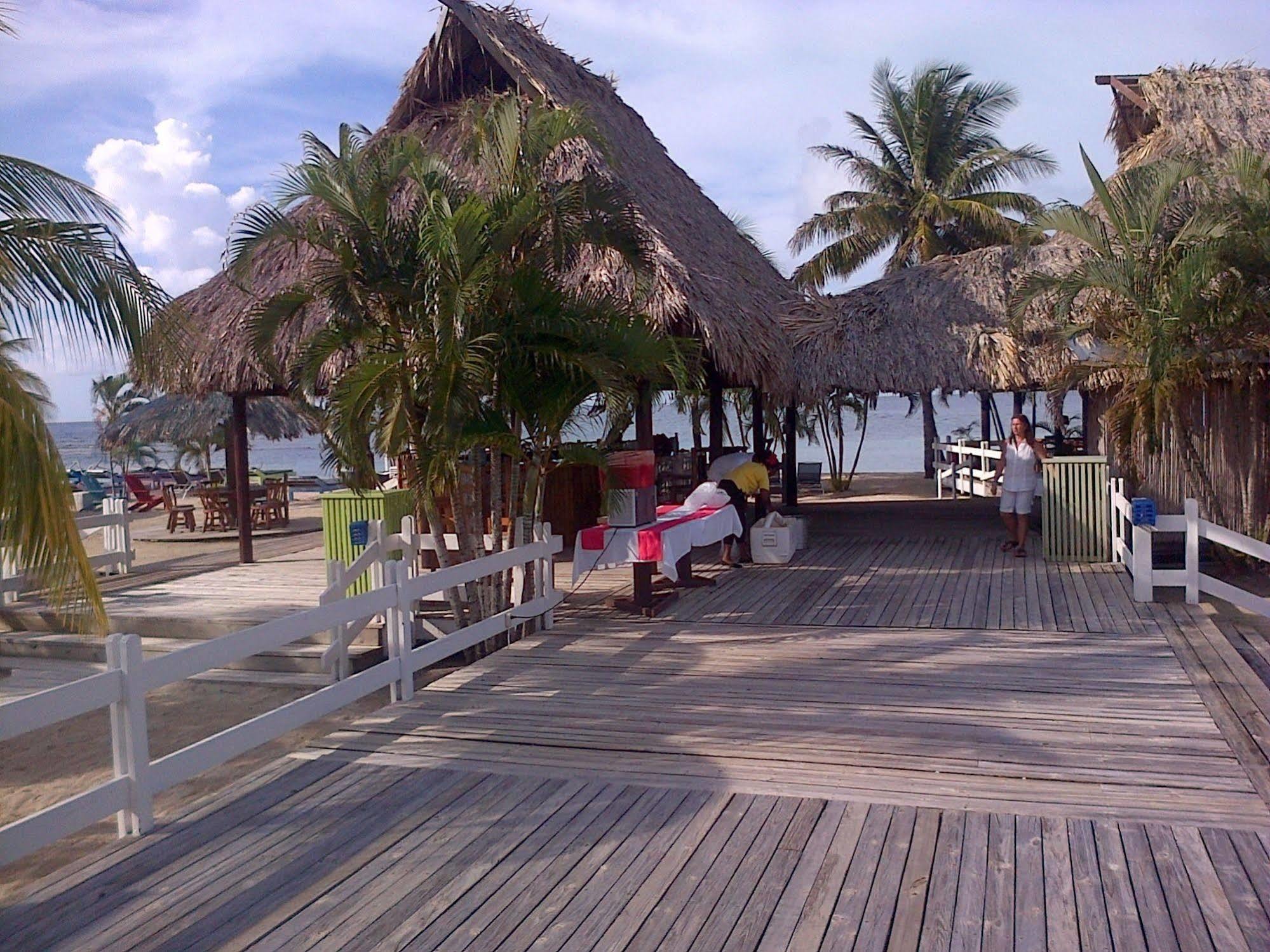 Las Palmas Beach Hotel Dixon Cove Eksteriør bilde