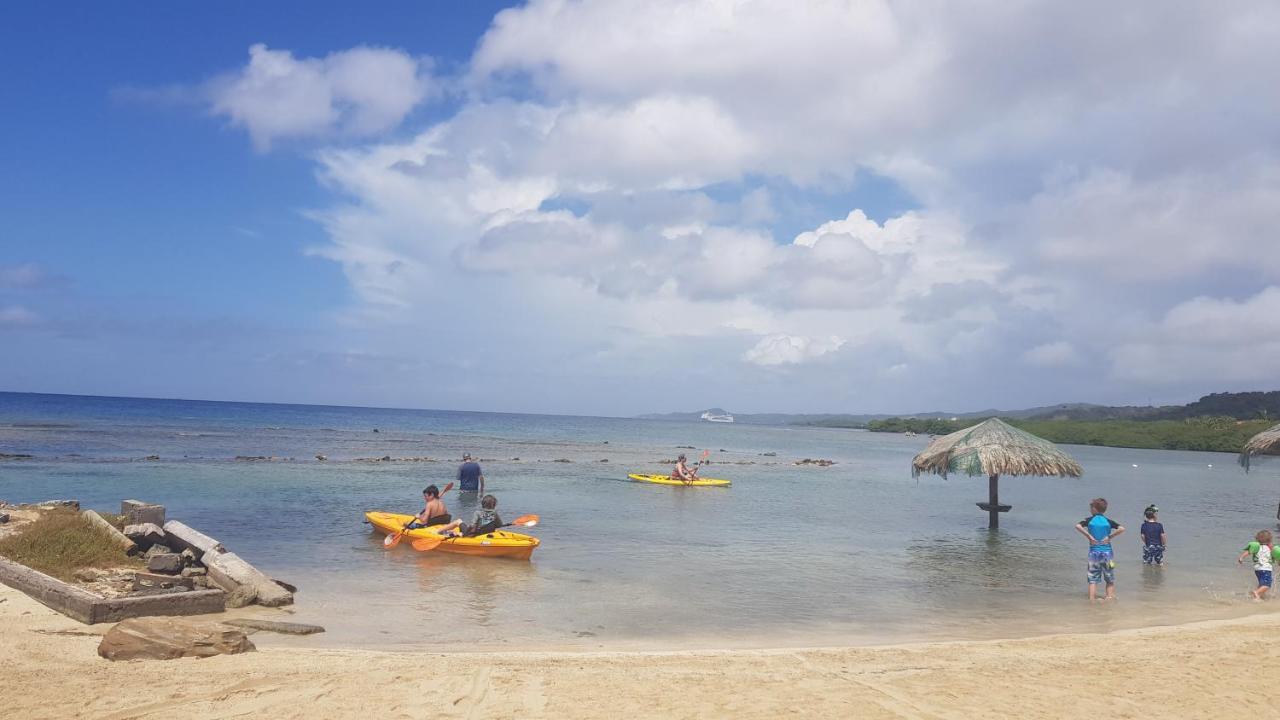 Las Palmas Beach Hotel Dixon Cove Eksteriør bilde