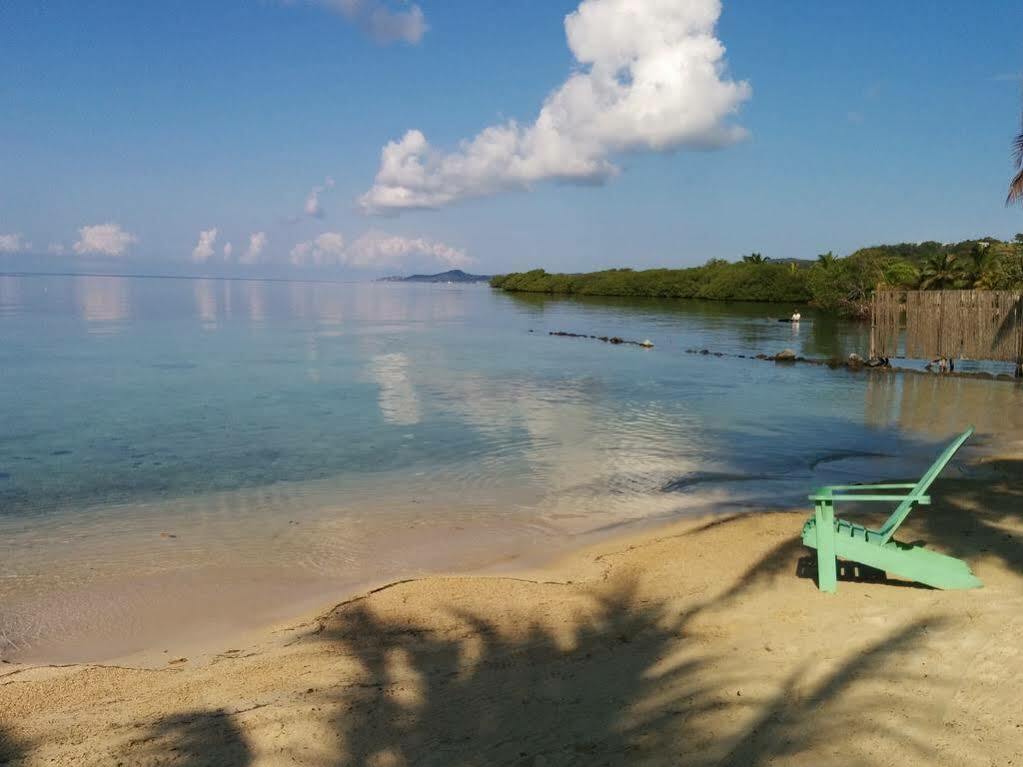 Las Palmas Beach Hotel Dixon Cove Eksteriør bilde